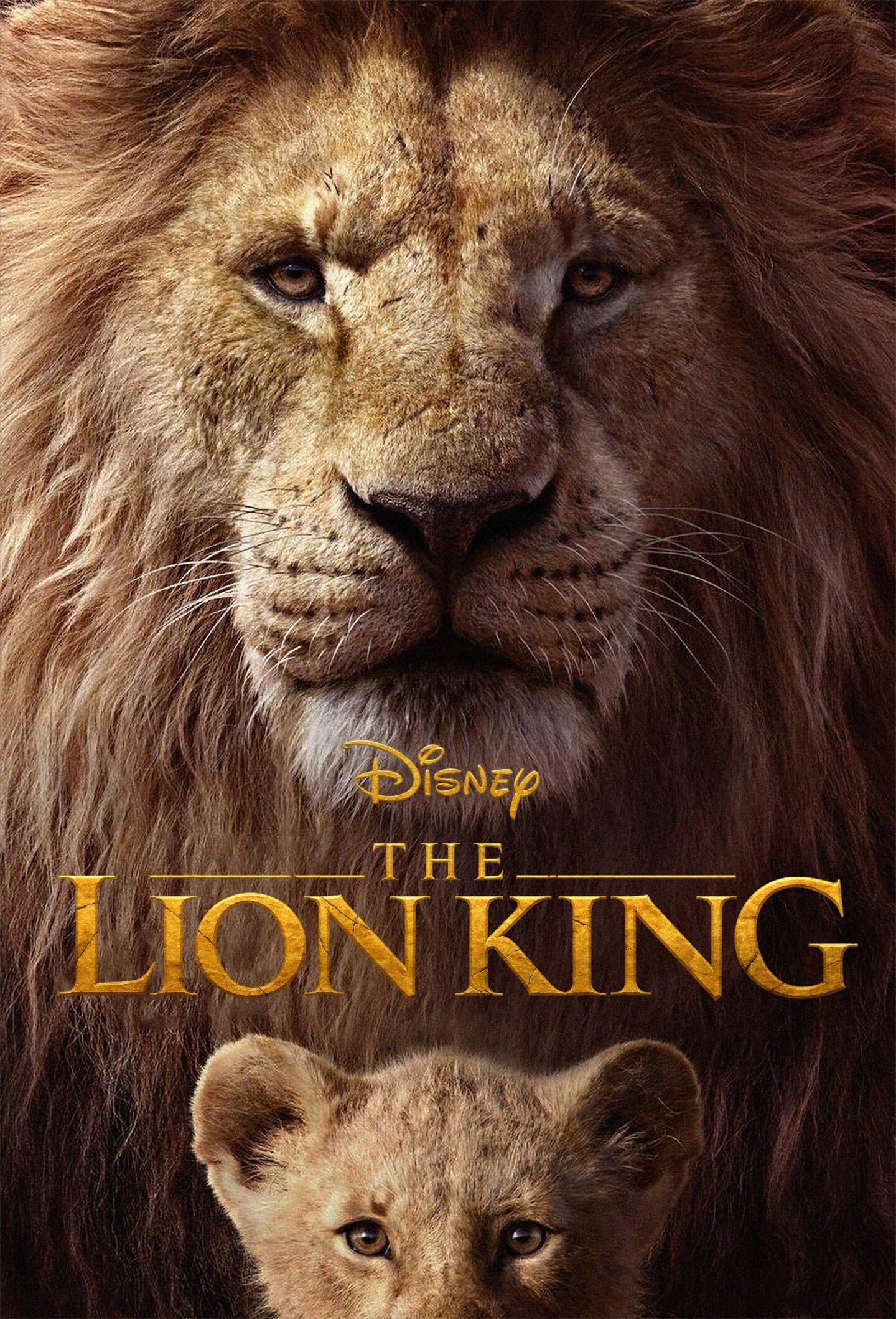 The Lion King 2019 Hindi English Dual Audio Movie BluRay HD ESub Movies4U