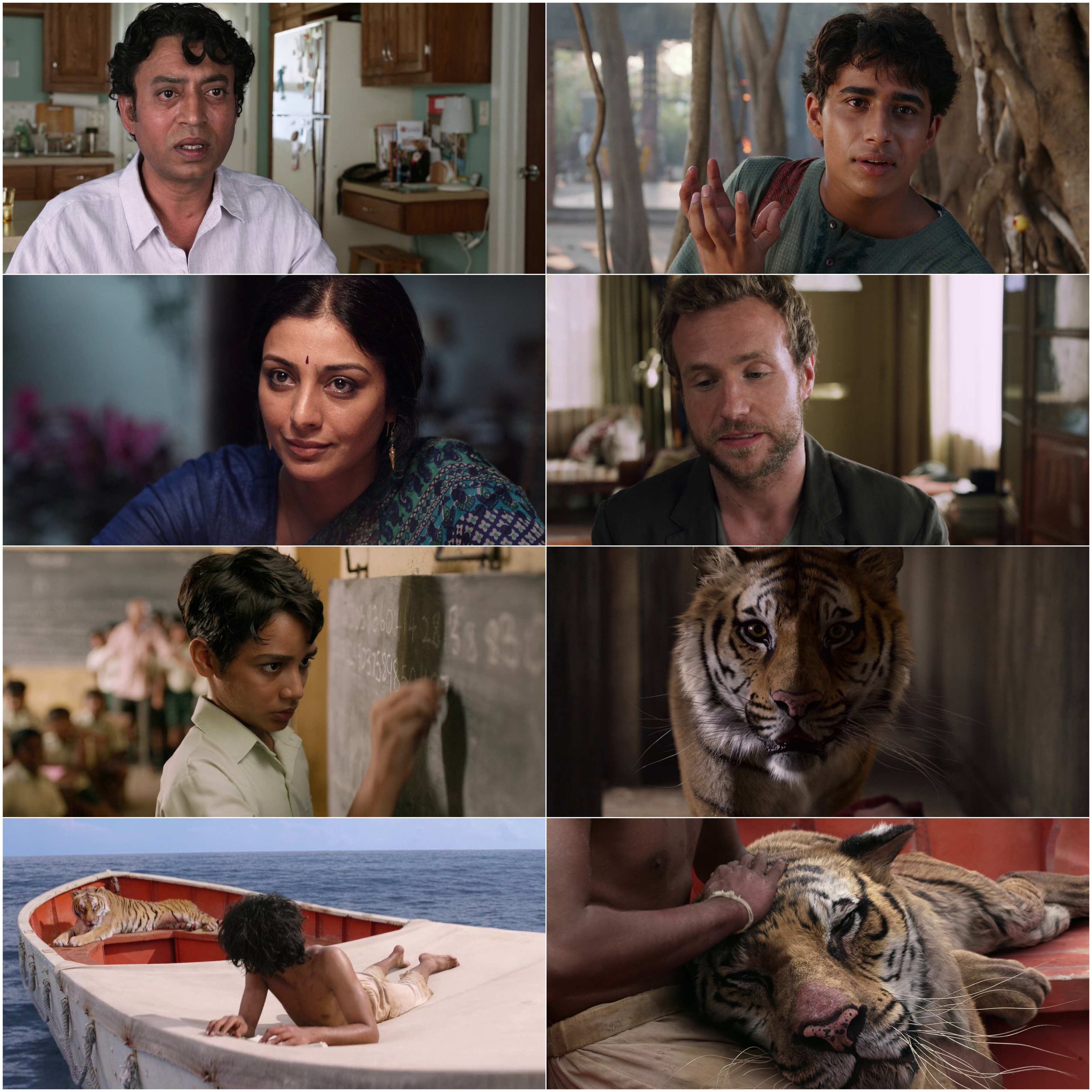 Life of Pi 2012 Hindi English Dual Audio Bollywood Movie HD ESub Movies4U screenshot
